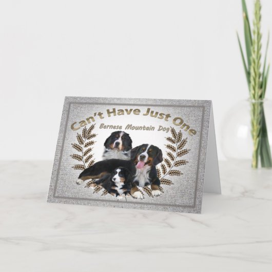 Cartes Pour Fêtes Annuelles Bernese Mt. Dog ne peut pas avoir qu'un (Devant)