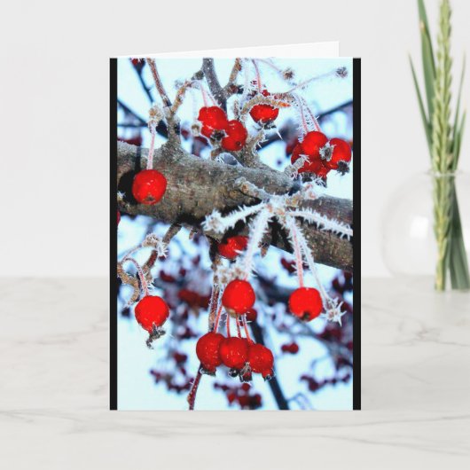 Cartes Pour Fêtes Annuelles Berry Noël ! (Devant)