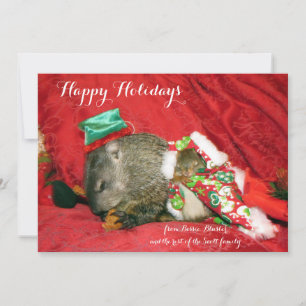 Cartes Pour Fêtes Annuelles Bessie et Bluster Holiday Invitation/Photocard
