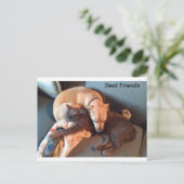 Cartes Pour Fêtes Annuelles Best Buddies (Debout devant)