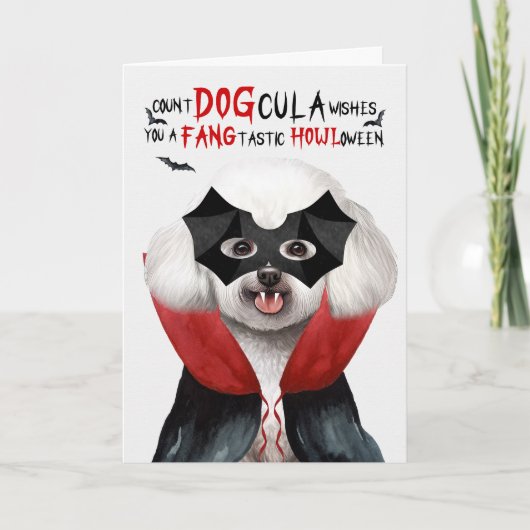 Cartes Pour Fêtes Annuelles Bichon Frise Chien drôle Nombre de DOGcula Hallowe (Devant)