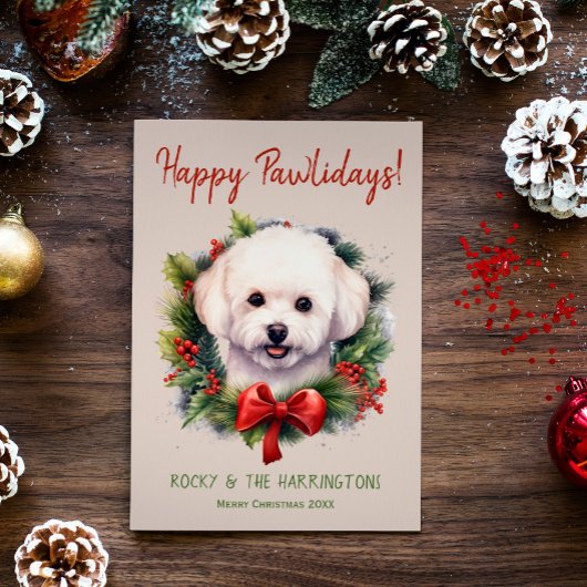 Cartes Pour Fêtes Annuelles Bichon Frise Chien Noël Joyeux Pawlidays