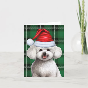 Cartes Pour Fêtes Annuelles Bichon Frise Chien Noël Vacances Green Plaid