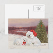 Cartes Pour Fêtes Annuelles Bichon Frise Christmas (Devant / Derrière)