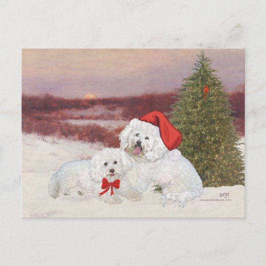 Cartes Pour Fêtes Annuelles Bichon Frise Christmas (Devant)