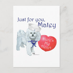 Cartes Pour Fêtes Annuelles Bichon frisé marin Saint-Valentin