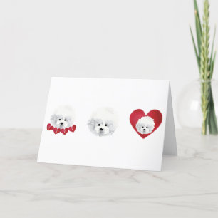 Cartes Pour Fêtes Annuelles Bichon Frise _ mélange _ 