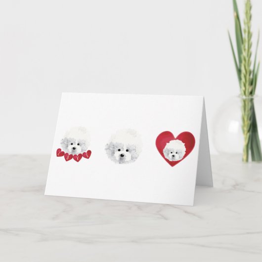 Cartes Pour Fêtes Annuelles Bichon Frise _ mélange _  (Devant)