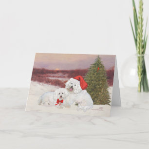 Cartes Pour Fêtes Annuelles Bichon Frise Noël
