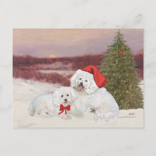 Cartes Pour Fêtes Annuelles Bichon Frise Noël