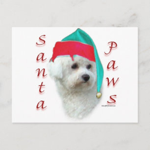 Cartes Pour Fêtes Annuelles Bichon Frise Père Noël Paws