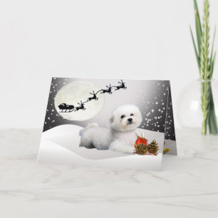 Cartes Pour Fêtes Annuelles Bichon s'étendant dans la neige avec Père Noël