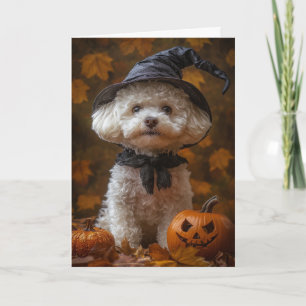 Cartes Pour Fêtes Annuelles Bichon Sorcière Halloween