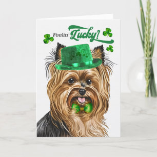 Cartes Pour Fêtes Annuelles Biewer Terrier Chien Lucky St Patrick's Day