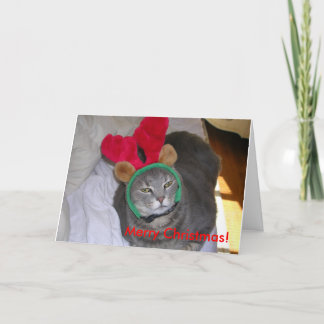 Cartes Pour Fêtes Annuelles bigfatcat, Joyeux Noël !