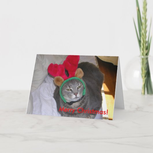 Cartes Pour Fêtes Annuelles bigfatcat, Joyeux Noël ! (Devant)