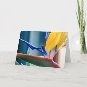 Cartes Pour Fêtes Annuelles Bird of Paradise Flower