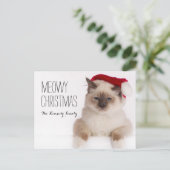 Cartes Pour Fêtes Annuelles Birman Cat Père Noël (Debout devant)