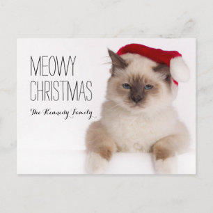 Cartes Pour Fêtes Annuelles Birman Cat Père Noël