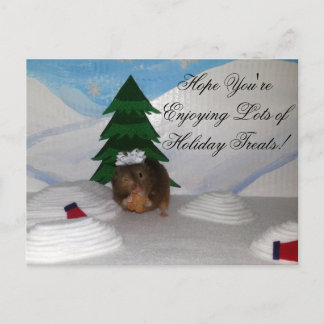 Cartes Pour Fêtes Annuelles Biscuits de Noël !