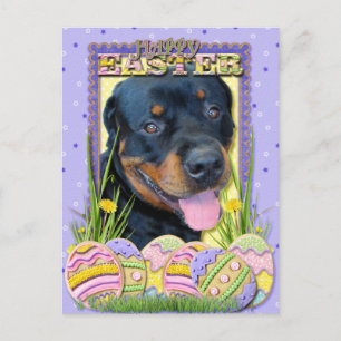 Cartes Pour Fêtes Annuelles Biscuits d'oeuf de pâques - rottweiler - Harley