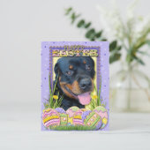 Cartes Pour Fêtes Annuelles Biscuits d'oeuf de pâques - rottweiler - Harley (Debout devant)