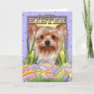 Cartes Pour Fêtes Annuelles Biscuits d'oeuf de pâques - Yorkshire Terrier