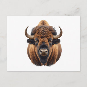 Cartes Pour Fêtes Annuelles Bison / Buffle