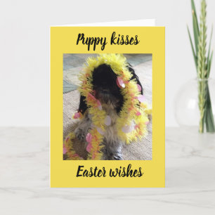CARTES POUR FÊTES ANNUELLES "BISOUS DE CHIEN" & "VŒUX DE PÂQUES" JUSTE POUR "V