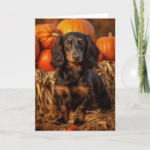 Cartes Pour Fêtes Annuelles Black and Tan Dachshund Thanksgiving