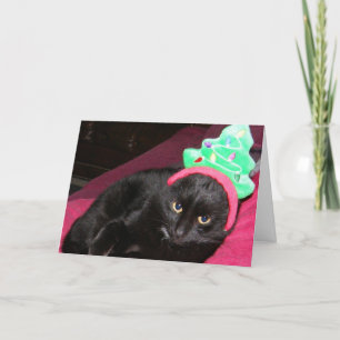 Cartes Pour Fêtes Annuelles Black Cat Funny Holiday Card Bah Humbug