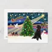 Cartes Pour Fêtes Annuelles Black H-noir de Magic Poodle (Devant / Derrière)