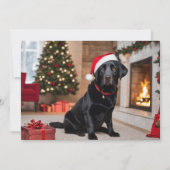 Cartes Pour Fêtes Annuelles Black Lab avec sapin de Noël (Devant)