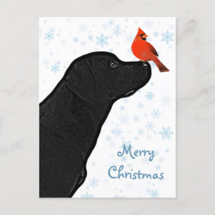 Cartes Pour Fêtes Annuelles Black Lab Cardinal de Noël - adorable chien du Lab