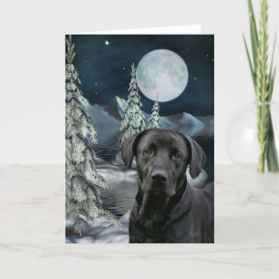 Cartes Pour Fêtes Annuelles Black lab Christmas