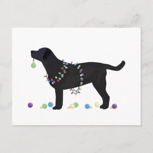Cartes Pour Fêtes Annuelles Black Lab Joyeux Noël Design (Devant)