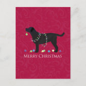 Cartes Pour Fêtes Annuelles Black Lab Joyeux Noël Design (Devant)