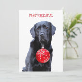 Cartes Pour Fêtes Annuelles Black Lab Joyeux Noël - Labrador mou Chien (Debout devant)