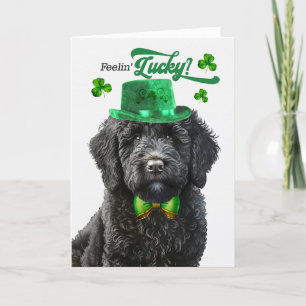 Cartes Pour Fêtes Annuelles Black Labradoodle Feelin' Lucky St Patrick's Day