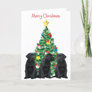 Cartes Pour Fêtes Annuelles Black Labrador Christmas Card