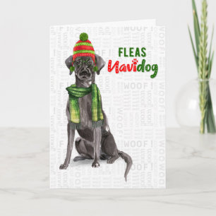 Cartes Pour Fêtes Annuelles Black Labrador Funny Fleas Navidog Noël