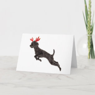 Cartes Pour Fêtes Annuelles Black Toy Poodle
