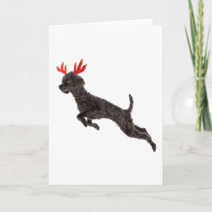 Cartes Pour Fêtes Annuelles Black Toy Poodle