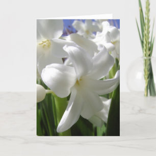 Cartes Pour Fêtes Annuelles Blanc Pâques Lilly
