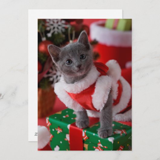 Cartes Pour Fêtes Annuelles Bleu bleu russe et Noël 2 (Devant / Derrière)