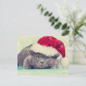 Cartes Pour Fêtes Annuelles Bleu British Chat Purr-fect saison des vacances (Debout devant)