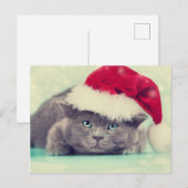 Cartes Pour Fêtes Annuelles Bleu British Chat Purr-fect saison des vacances (Devant / Derrière)