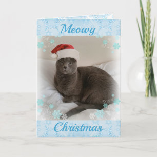 Cartes Pour Fêtes Annuelles Bleu russe. Meowy Noël.