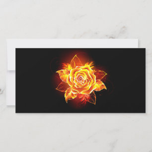 Cartes Pour Fêtes Annuelles Blooming Fire Rose