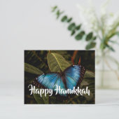 Cartes Pour Fêtes Annuelles Blue Morpho, Bonne Hanoukka (Debout devant)